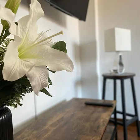 Casa Giulia Monteverde * 罗马